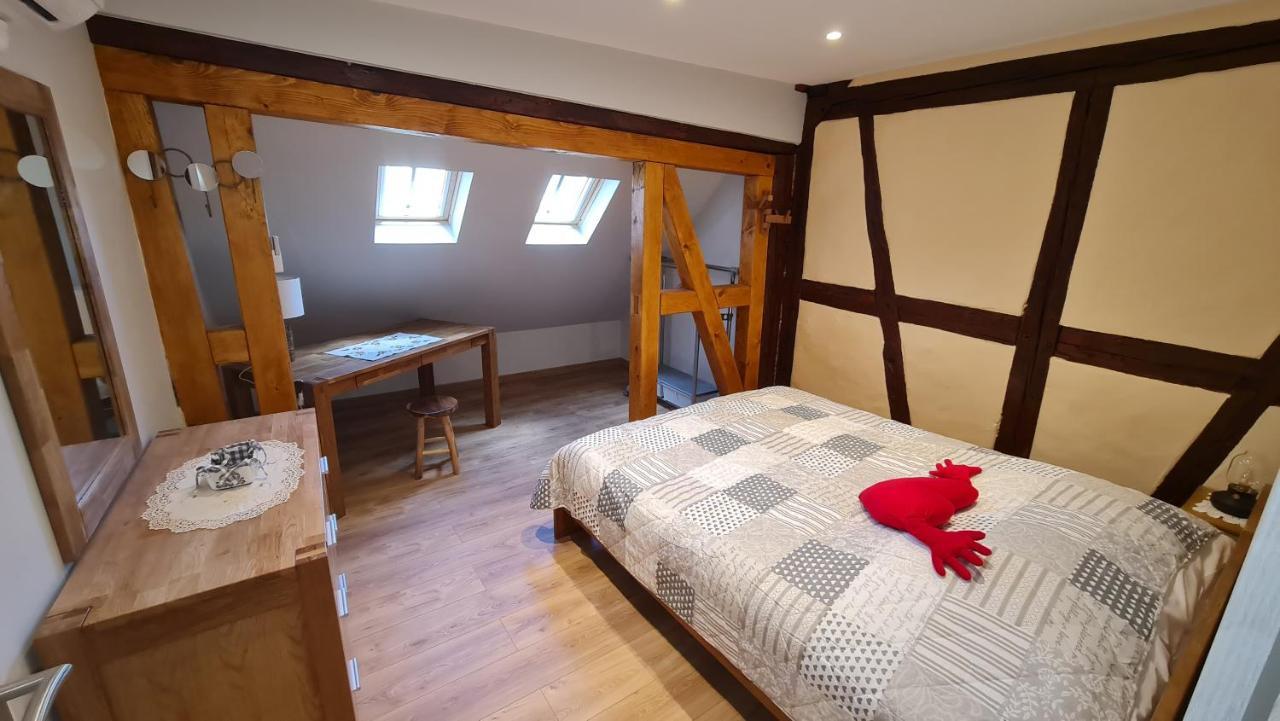 Appartement Duplex Climatise Avec Terrasse "Hansi" Colmar Exterior foto